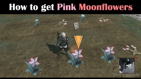 nier replicant pink moonflower